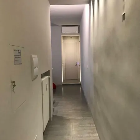 Mediceo 42 2*