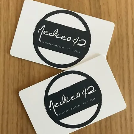 Mediceo 42 2* פיזה